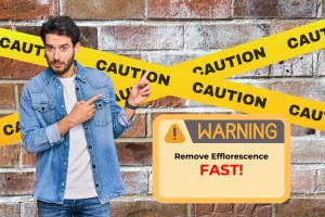 How to remove efflorescence off of brick - original background